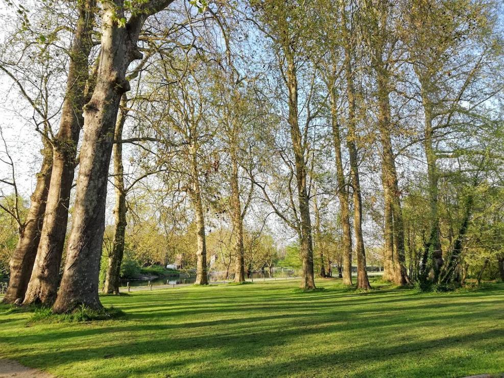 Bourg-Charente Le Domaine Des Platanes Bed & Breakfast エクステリア 写真