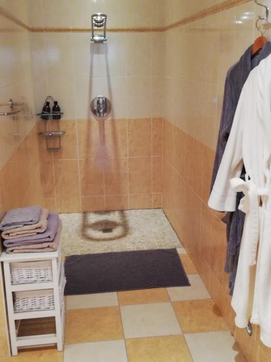 Bourg-Charente Le Domaine Des Platanes Bed & Breakfast エクステリア 写真