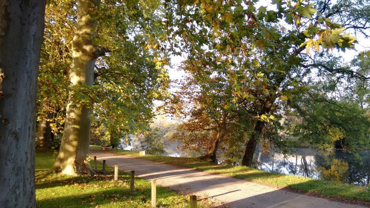 Bourg-Charente Le Domaine Des Platanes Bed & Breakfast エクステリア 写真